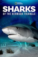 Watch Sharks of the Bermuda Triangle (TV Special 2020) M4ufreemovies