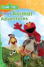 Watch Elmos Animal Adventures M4ufreemovies