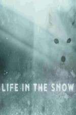 Watch Life in the Snow M4ufreemovies