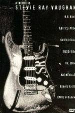 Watch A Tribute to Stevie Ray Vaughan M4ufreemovies