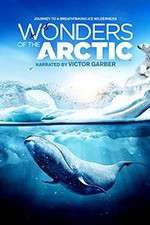 Watch Wonders of the Arctic 3D M4ufreemovies