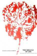 Watch The Miracle of Life M4ufreemovies