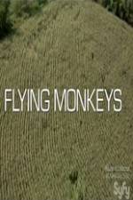 Watch Winged Terror M4ufreemovies