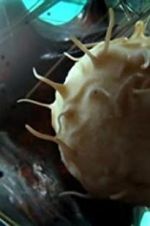 Watch Our Secret Universe: The Hidden Life of the Cell M4ufreemovies