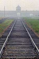 Watch AUSCHWITZ: FACTORIES OF DEATH M4ufreemovies