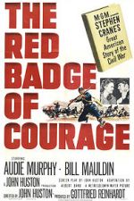 Watch The Red Badge of Courage M4ufreemovies