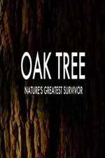 Watch Oak Tree Natures Greatest Survivor M4ufreemovies