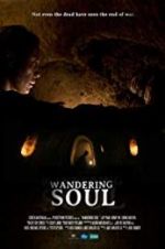 Watch Wandering Soul M4ufreemovies