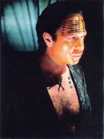 Watch The Age of Insects M4ufreemovies