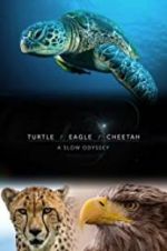 Watch Turtle, Eagle, Cheetah: A Slow Odyssey M4ufreemovies