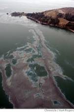 Watch National Geographic: Gulf Coast Disaster M4ufreemovies