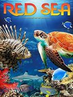 Watch Red Sea 4K M4ufreemovies