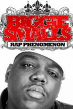 Watch Biggie Smalls Rap Phenomenon M4ufreemovies