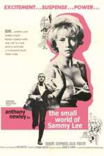 Watch The Small World of Sammy Lee M4ufreemovies