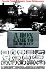 Watch A Box Came to Brooklyn M4ufreemovies