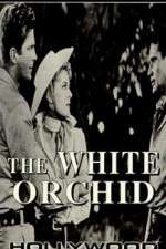 Watch The White Orchid M4ufreemovies