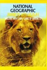 Watch National Geographic:  Walking with Lions M4ufreemovies