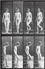 Watch Woman Walking Downstairs M4ufreemovies