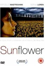 Watch Sunflower M4ufreemovies