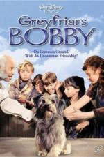 Watch Greyfriars Bobby The True Story of a Dog M4ufreemovies