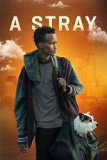 Watch A Stray M4ufreemovies