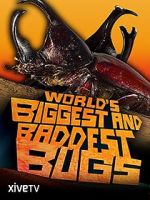 Watch World\'s Biggest and Baddest Bugs M4ufreemovies