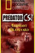 Watch Predator CSI Elephant Graveyard M4ufreemovies