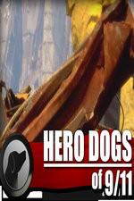 Watch Hero Dogs of 911 Documentary Special M4ufreemovies