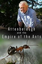 Watch Attenborough and the Empire of the Ants M4ufreemovies