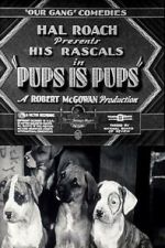 Watch Pups Is Pups M4ufreemovies