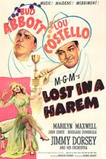 Watch Lost in a Harem M4ufreemovies