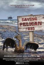 Watch Saving Pelican 895 (Short 2011) M4ufreemovies