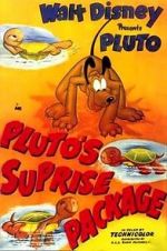 Watch Pluto\'s Surprise Package M4ufreemovies