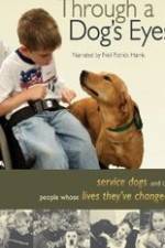 Watch Through a Dog's Eyes M4ufreemovies