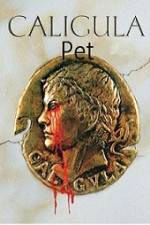 Watch Caligula's Pet M4ufreemovies