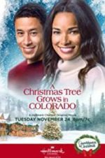 Watch A Christmas Tree Grows in Colorado M4ufreemovies