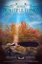 Watch Many Beautiful Things M4ufreemovies