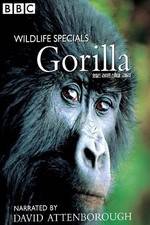 Watch Gorilla Revisited with David Attenborough M4ufreemovies