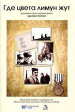 Watch Where the Yellow Lemon Blooms M4ufreemovies