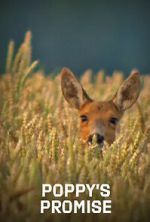 Watch Poppy\'s Promise: Secret Life in a Cornfield M4ufreemovies