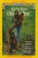 Watch Search for the Great Apes M4ufreemovies