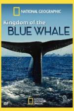 Watch National Geographic Kingdom of Blue Whale M4ufreemovies