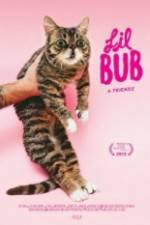 Watch Lil Bub & Friendz M4ufreemovies