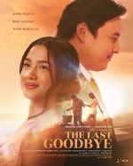 Watch The Last Goodbye M4ufreemovies