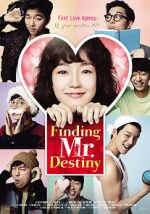 Watch Finding Mr. Destiny M4ufreemovies