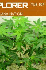 Watch Marijuana Nation M4ufreemovies