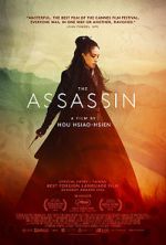 Watch The Assassin M4ufreemovies