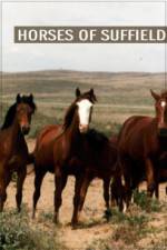 Watch Horses of Suffield M4ufreemovies