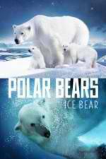Watch Polar Bears Ice Bear M4ufreemovies