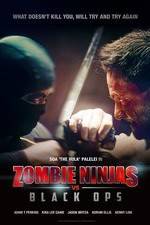 Watch Zombie Ninjas vs Black Ops M4ufreemovies
